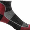 Darn Tough Men's 1/4 Ultra Light Running Sock - Team DTV (1715-TEAM DTV)