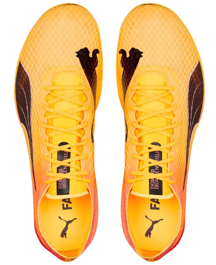 PUMA Unisex EvoSPEED Distance Nitro Elite+ 2 - Image 4